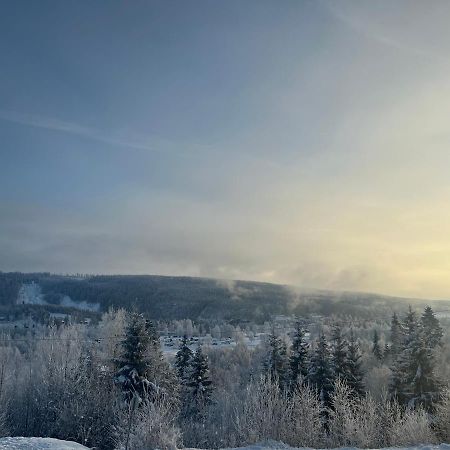 Koselig Rom I Rolige Omgivelser Amot Екстер'єр фото